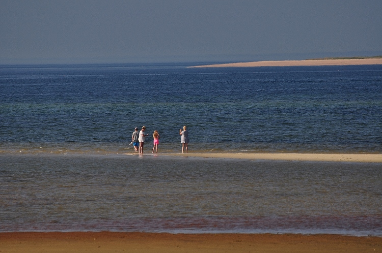 people walking sand bar